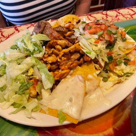 Loaded Nachos