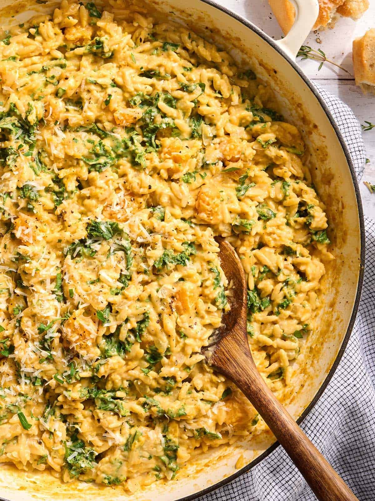 Creamy Butternut Squash Orzo