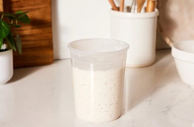 Sourdough Starter Fake Out: Spot the Trick