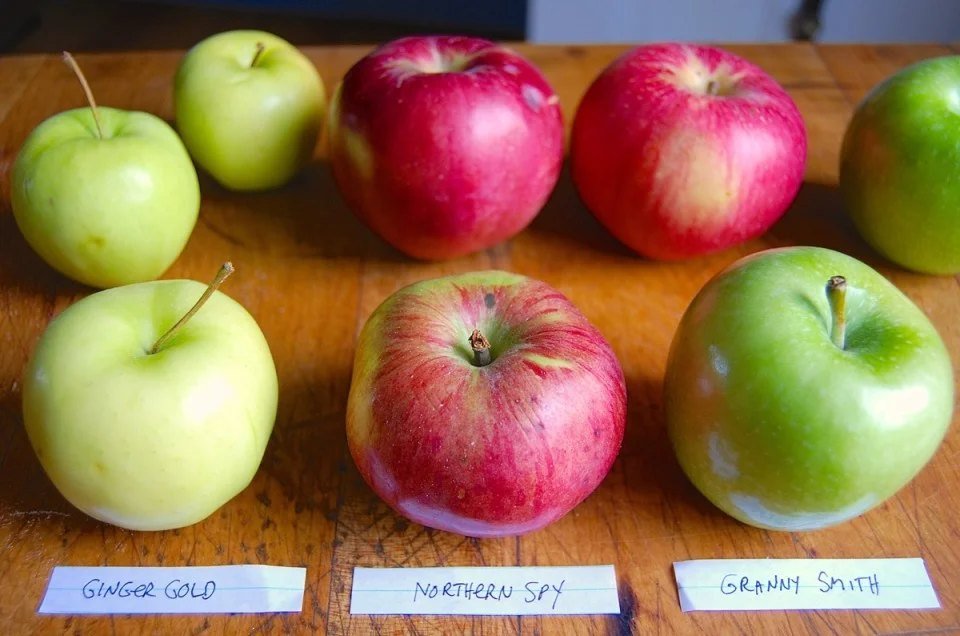 6 Best Apples for Pie: The Ultimate Flavor Test